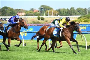 MELBOURNE, AUSTRALIA - FEBRUARY 21: Ben Melham riding Streisand defeats Closer To Free and Guest House in Race 8, the Sportsbet Blue Diamond Stakes during Melbourne Racing at Caulfield Racecourse on February 21, 2026 in Melbourne, Australia. (Photo by Vince Caligiuri/Getty Images)