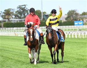 MELBOURNE, AUSTRALIA - FEBRUARY 21: Ben Melham riding Streisand after winning in Race 8, the Sportsbet Blue Diamond Stakes during Melbourne Racing at Caulfield Racecourse on February 21, 2026 in Melbourne, Australia. (Photo by Vince Caligiuri/Getty Images)