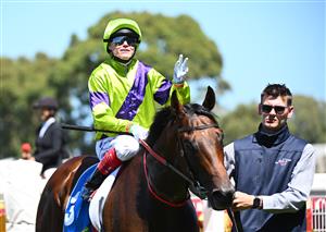 MELBOURNE, AUSTRALIA - FEBRUARY 21: Craig Williams riding Pallaton after winning Race 2, the Sportsbet Zeditave Stakes during Melbourne Racing at Caulfield Racecourse on February 21, 2026 in Melbourne, Australia. (Photo by Vince Caligiuri/Getty Images)