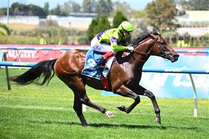 MELBOURNE, AUSTRALIA - FEBRUARY 21: Craig Williams riding Pallaton winning Race 2, the Sportsbet Zeditave Stakes during Melbourne Racing at Caulfield Racecourse on February 21, 2026 in Melbourne, Australia. (Photo by Vince Caligiuri/Getty Images)
