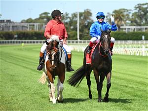MELBOURNE, AUSTRALIA - FEBRUARY 21: Craig Williams riding Pericles after winning in Race 7, the Henley Homes Futurity Stakes during Melbourne Racing at Caulfield Racecourse on February 21, 2026 in Melbourne, Australia. (Photo by Vince Caligiuri/Getty Images)