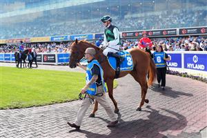 MELBOURNE, AUSTRALIA - FEBRUARY 21: Michael Dee riding Close to Free before Race 8, the Sportsbet Blue Diamond Stakes during Melbourne Racing at Caulfield Racecourse on February 21, 2026 in Melbourne, Australia. (Photo by Vince Caligiuri/Getty Images)