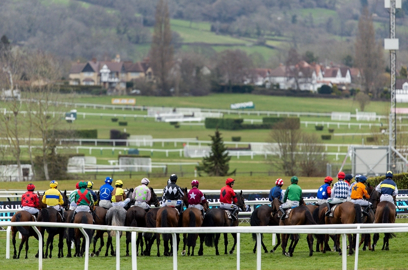 Albert Bartlett Novices' Hurdle