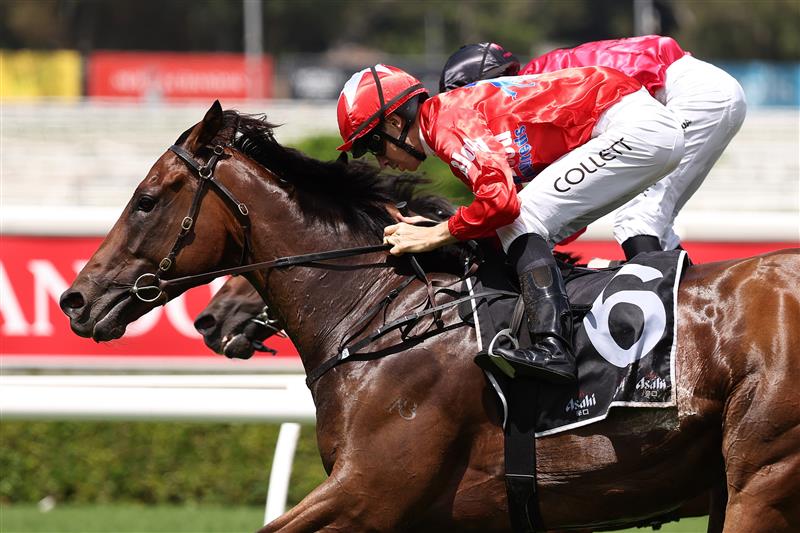 SYDNEY, AUSTRALIA - FEBRUARY 28: Jason Collett riding Mr Monaco win Race 3 Asahi Super Dry during Sydney Racing at Royal Randwick Racecourse on February 28, 2026 in Sydney, Australia. (Photo by Jeremy Ng/Getty Images)