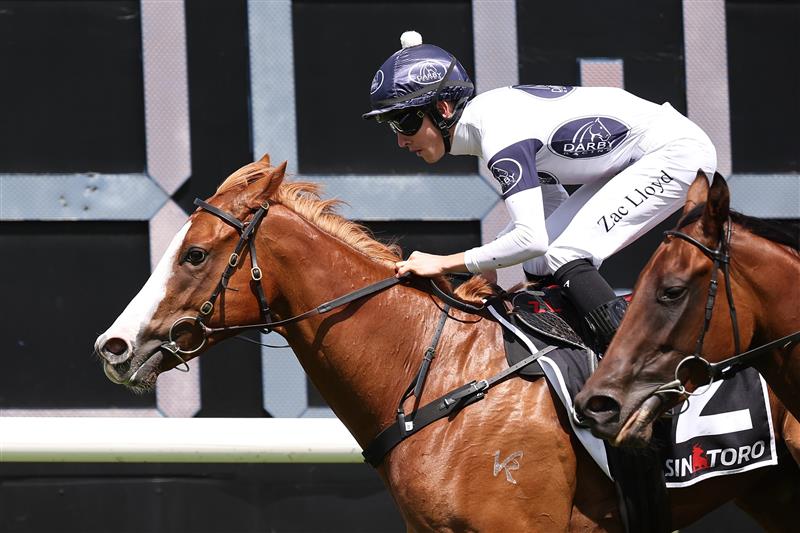 SYDNEY, AUSTRALIA - FEBRUARY 28: Zac Lloyd riding Spicy Miss win Race 4 Sintoro Sweet Embrace Stakes during Sydney Racing at Royal Randwick Racecourse on February 28, 2026 in Sydney, Australia. (Photo by Jeremy Ng/Getty Images)
