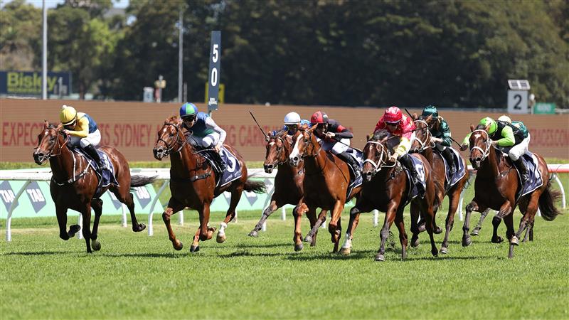 SYDNEY, AUSTRALIA - FEBRUARY 28: Tommy Berry riding Campione D'italia to win Race 5, the Skyline Stakes. (Getty)