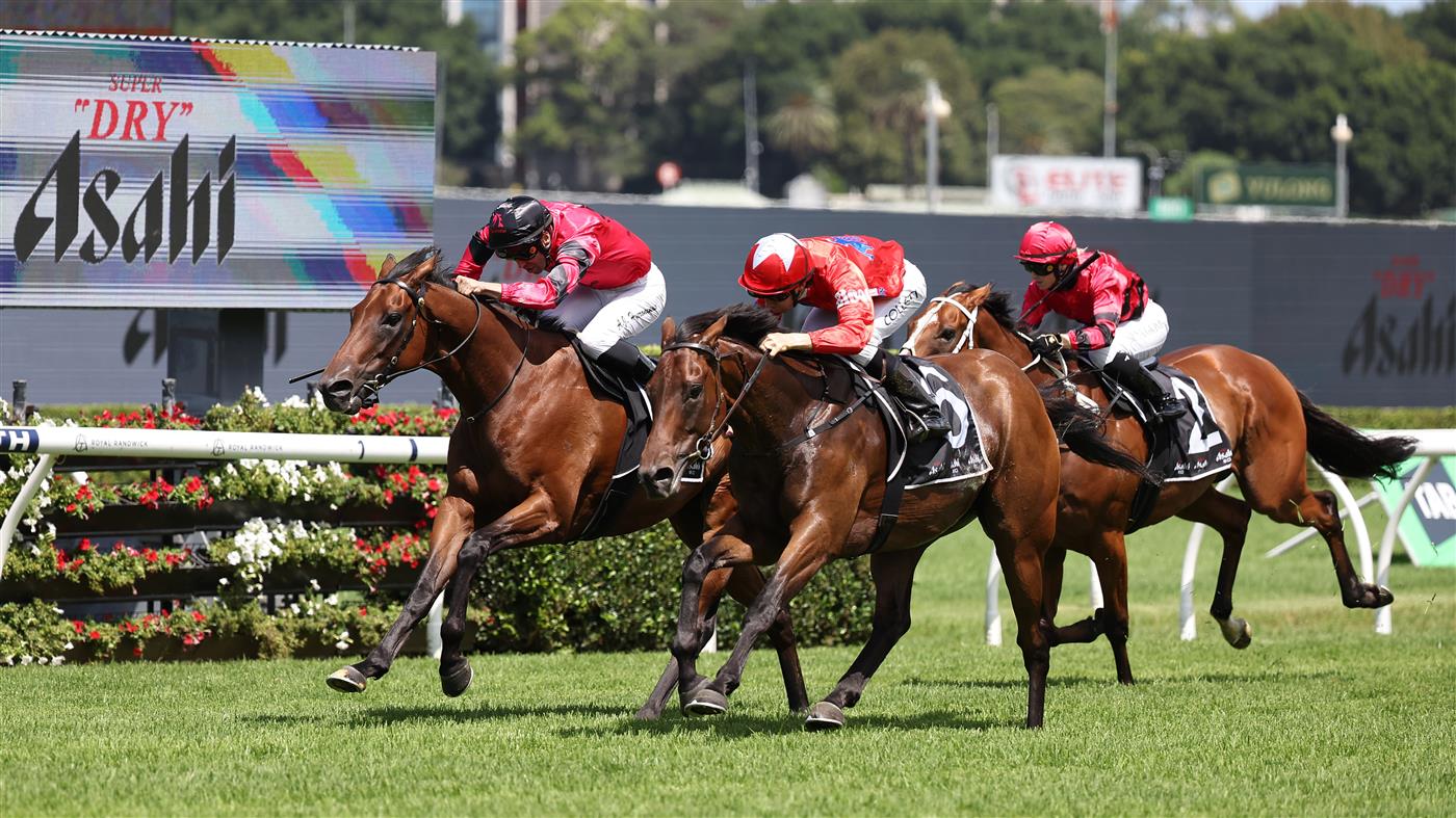 SYDNEY, AUSTRALIA - FEBRUARY 28: Jason Collett riding Mr Monaco win Race 3 Asahi Super Dry during Sydney Racing at Royal Randwick Racecourse on February 28, 2026 in Sydney, Australia. (Photo by Jeremy Ng/Getty Images)