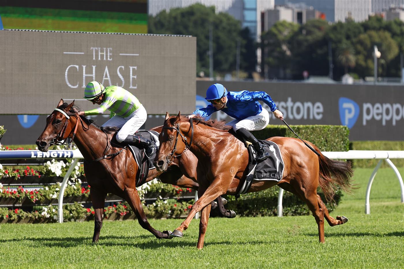 SYDNEY, AUSTRALIA - FEBRUARY 28: Chad Schofield riding Tempted win Race 7 The Chase Surround Stakes during Sydney Racing at Royal Randwick Racecourse on February 28, 2026 in Sydney, Australia. (Photo by Jeremy Ng/Getty Images)