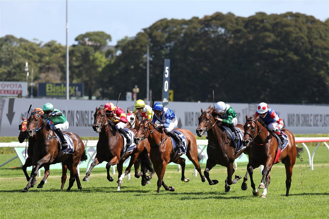 SYDNEY, AUSTRALIA - FEBRUARY 28: Craig Williams riding  Verona Rose win Race 6 Proven Thoroughbreds Guy Walter Stakes during Sydney Racing at Royal Randwick Racecourse on February 28, 2026 in Sydney, Australia. (Photo by Jeremy Ng/Getty Images)