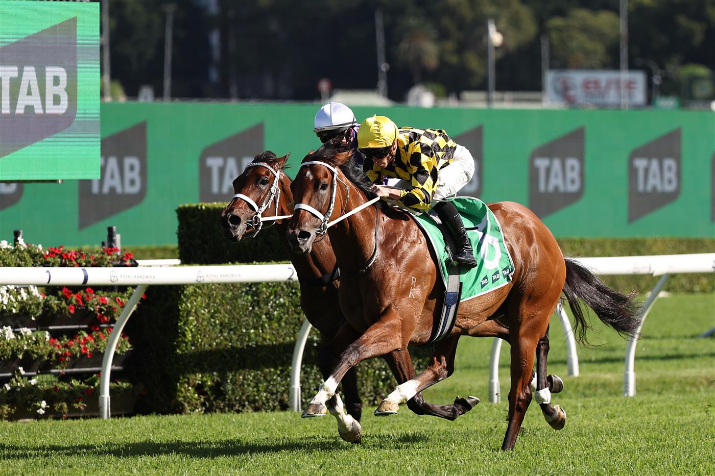 SYDNEY, AUSTRALIA - FEBRUARY 28: James McDonald riding Autumn Glow win Race 8 TAB Verry Elleegant Stakes during Sydney Racing at Royal Randwick Racecourse on February 28, 2026 in Sydney, Australia. (Photo by Jeremy Ng/Getty Images)