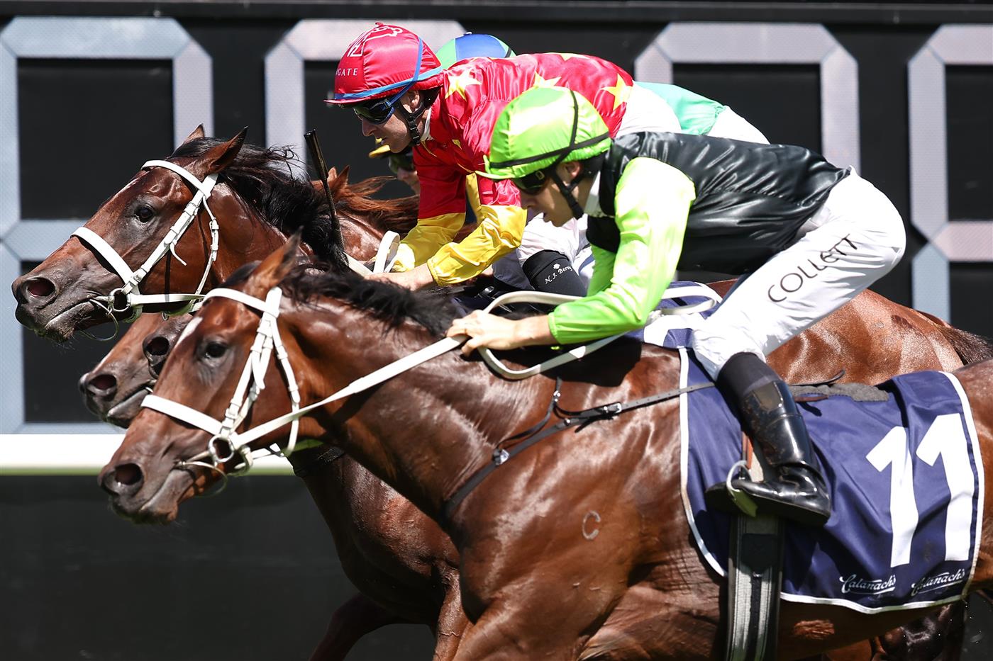 SYDNEY, AUSTRALIA - FEBRUARY 28: Tommy Berry riding Campione D'italia to win Race 5, the Skyline Stakes. (Getty)