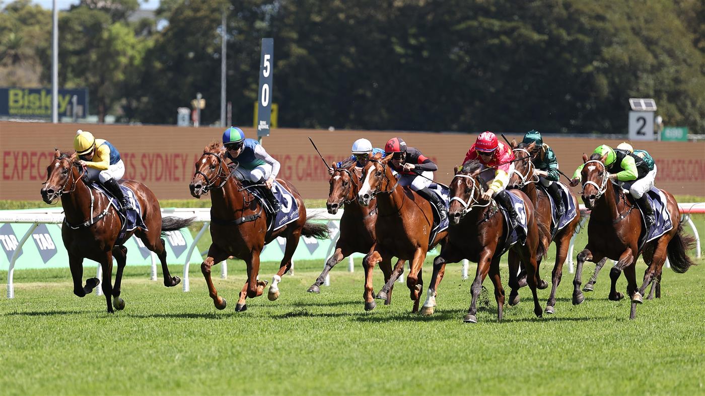 SYDNEY, AUSTRALIA - FEBRUARY 28: Tommy Berry riding Campione D'italia to win Race 5, the Skyline Stakes. (Getty)