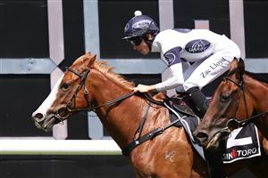 SYDNEY, AUSTRALIA - FEBRUARY 28: Zac Lloyd riding Spicy Miss win Race 4 Sintoro Sweet Embrace Stakes during Sydney Racing at Royal Randwick Racecourse on February 28, 2026 in Sydney, Australia. (Photo by Jeremy Ng/Getty Images)