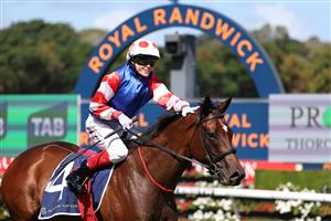 SYDNEY, AUSTRALIA - FEBRUARY 28: Craig Williams riding  Verona Rose win Race 6 Proven Thoroughbreds Guy Walter Stakes during Sydney Racing at Royal Randwick Racecourse on February 28, 2026 in Sydney, Australia. (Photo by Jeremy Ng/Getty Images)