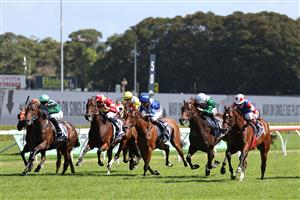 SYDNEY, AUSTRALIA - FEBRUARY 28: Craig Williams riding  Verona Rose win Race 6 Proven Thoroughbreds Guy Walter Stakes during Sydney Racing at Royal Randwick Racecourse on February 28, 2026 in Sydney, Australia. (Photo by Jeremy Ng/Getty Images)