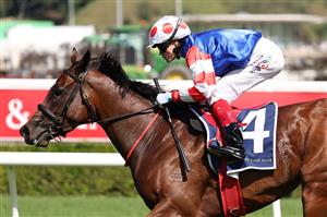 SYDNEY, AUSTRALIA - FEBRUARY 28: Craig Williams riding  Verona Rose win Race 6 Proven Thoroughbreds Guy Walter Stakes during Sydney Racing at Royal Randwick Racecourse on February 28, 2026 in Sydney, Australia. (Photo by Jeremy Ng/Getty Images)