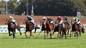 SYDNEY, AUSTRALIA - FEBRUARY 28: Tommy Berry riding Campione D'italia to win Race 5, the Skyline Stakes. (Getty)