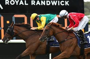 Loading