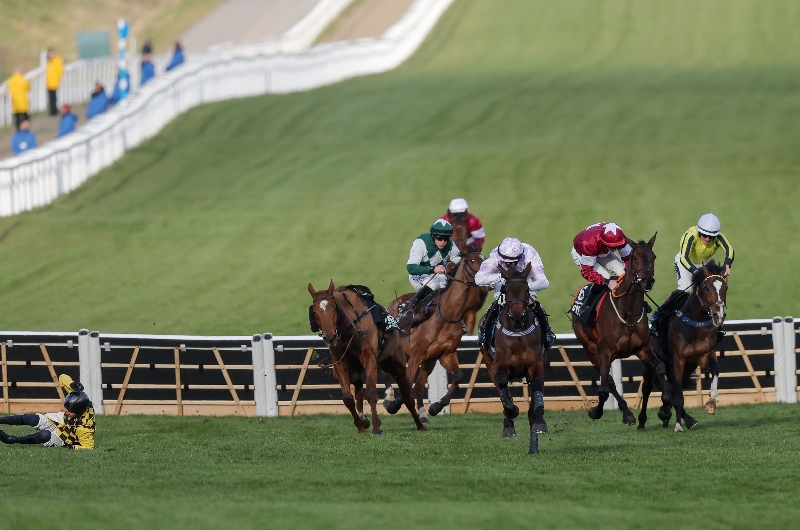 golden ace cheltenham