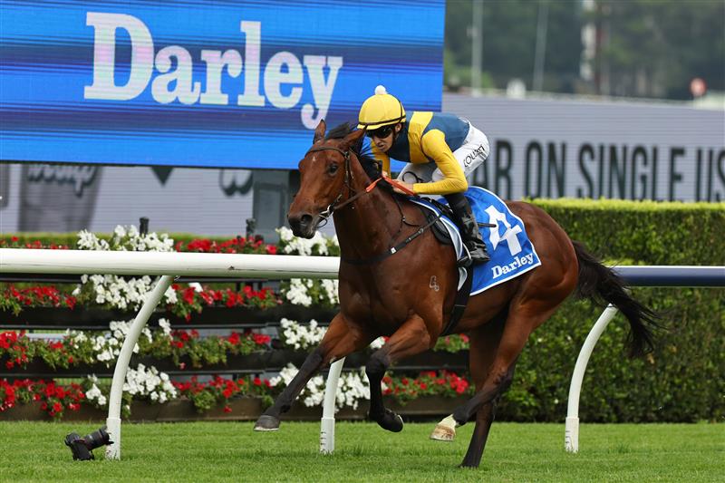 SYDNEY, AUSTRALIA - MARCH 07: Jason Collett riding Paradoxium win Race 4 Darley Todman Stakes during Sydney Racing at Royal Randwick Racecourse on March 07, 2026 in Sydney, Australia. (Photo by Jeremy Ng/Getty Images)