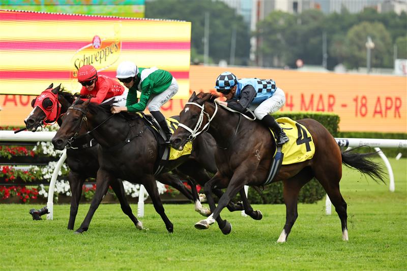 SYDNEY, AUSTRALIA - MARCH 07: James McDonald  riding Generosity  win Race 7 Schweppes Challenge Stakes during Sydney Racing at Royal Randwick Racecourse on March 07, 2026 in Sydney, Australia. (Photo by Jeremy Ng/Getty Images)