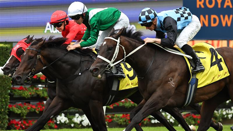 SYDNEY, AUSTRALIA - MARCH 07: James McDonald  riding Generosity  win Race 7 Schweppes Challenge Stakes during Sydney Racing at Royal Randwick Racecourse on March 07, 2026 in Sydney, Australia. (Photo by Jeremy Ng/Getty Images)