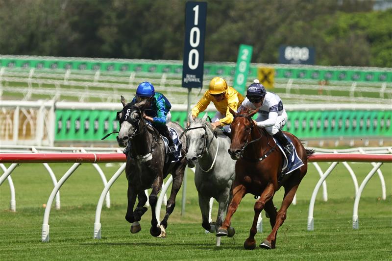 SYDNEY, AUSTRALIA - MARCH 07: Tim Clark riding Campaldino  win Race 2 Randwick City Stakes during Sydney Racing at Royal Randwick Racecourse on March 07, 2026 in Sydney, Australia. (Photo by Jeremy Ng/Getty Images)