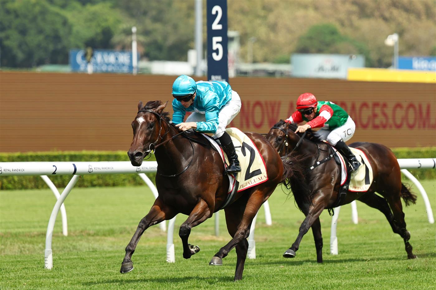 SYDNEY, AUSTRALIA - MARCH 07: James McDonald riding Chayan win Race 3 Petaluma Reisling Stakes during Sydney Racing at Royal Randwick Racecourse on March 07, 2026 in Sydney, Australia. (Photo by Jeremy Ng/Getty Images)