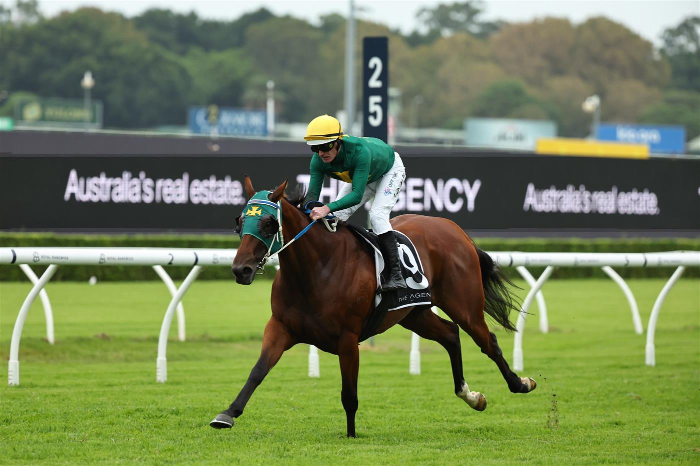 SYDNEY, AUSTRALIA - MARCH 07: Luke Nolen riding Sheza Alibi  win Race 8 The Agency Randwick Guineas during Sydney Racing at Royal Randwick Racecourse on March 07, 2026 in Sydney, Australia. (Photo by Jeremy Ng/Getty Images)