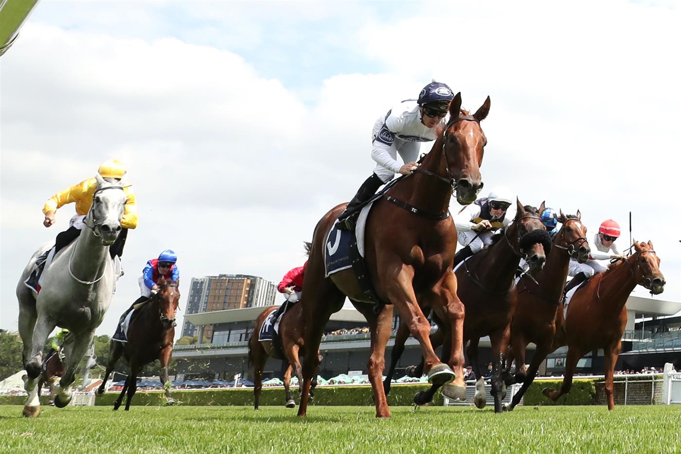 SYDNEY, AUSTRALIA - MARCH 07: Tim Clark riding Campaldino win Race 2 Randwick City Stakes during Sydney Racing at Royal Randwick Racecourse on March 07, 2026 in Sydney, Australia. (Photo by Jeremy Ng/Getty Images)