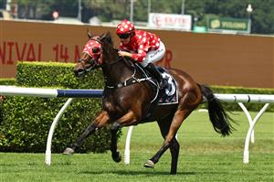 SYDNEY, AUSTRALIA - MARCH 07: Rachel King riding Zenmaster   win Race 1 Midway during Sydney Racing at Royal Randwick Racecourse on March 07, 2026 in Sydney, Australia. (Photo by Jeremy Ng/Getty Images)