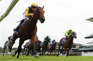 SYDNEY, AUSTRALIA - MARCH 07: Jason Collett riding Paradoxium win Race 4 Darley Todman Stakes during Sydney Racing at Royal Randwick Racecourse on March 07, 2026 in Sydney, Australia. (Photo by Jeremy Ng/Getty Images)