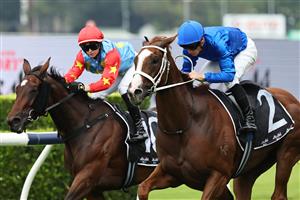 SYDNEY, AUSTRALIA - MARCH 07: James McDonald  riding Pinito  win Race 6 Asahi Super Dry Aspiration Quality during Sydney Racing at Royal Randwick Racecourse on March 07, 2026 in Sydney, Australia. (Photo by Jeremy Ng/Getty Images)