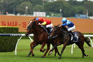 SYDNEY, AUSTRALIA - MARCH 07: James McDonald  riding Beadman win Race 5 All Occasion Cruises Fireball Stakes during Sydney Racing at Royal Randwick Racecourse on March 07, 2026 in Sydney, Australia. (Photo by Jeremy Ng/Getty Images)