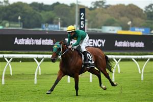 SYDNEY, AUSTRALIA - MARCH 07: Luke Nolen riding Sheza Alibi  win Race 8 The Agency Randwick Guineas during Sydney Racing at Royal Randwick Racecourse on March 07, 2026 in Sydney, Australia. (Photo by Jeremy Ng/Getty Images)