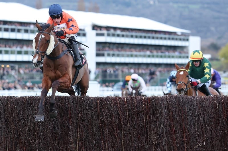cheltenham