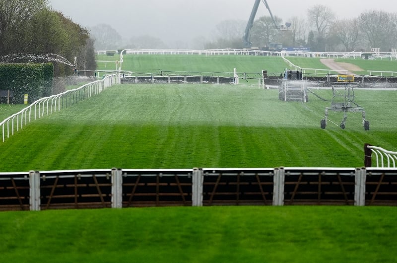 cheltenham