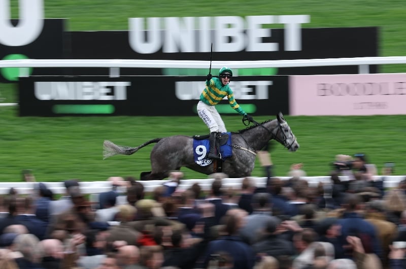 cheltenham