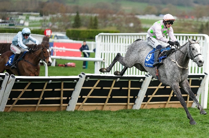 lossiemouth mares hurdle