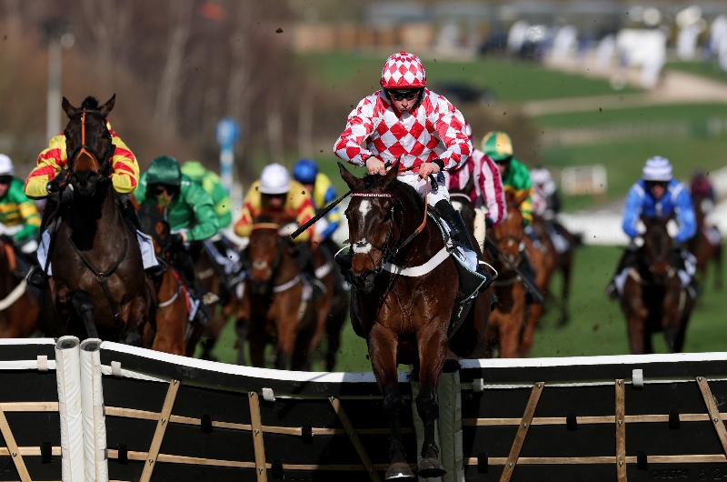 cheltenham