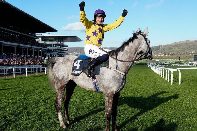 cheltenham