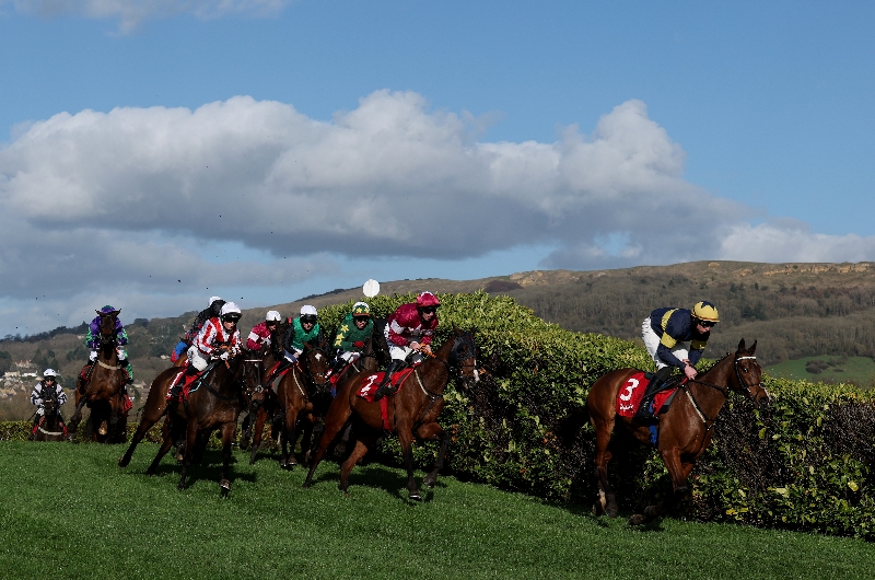 cheltenham