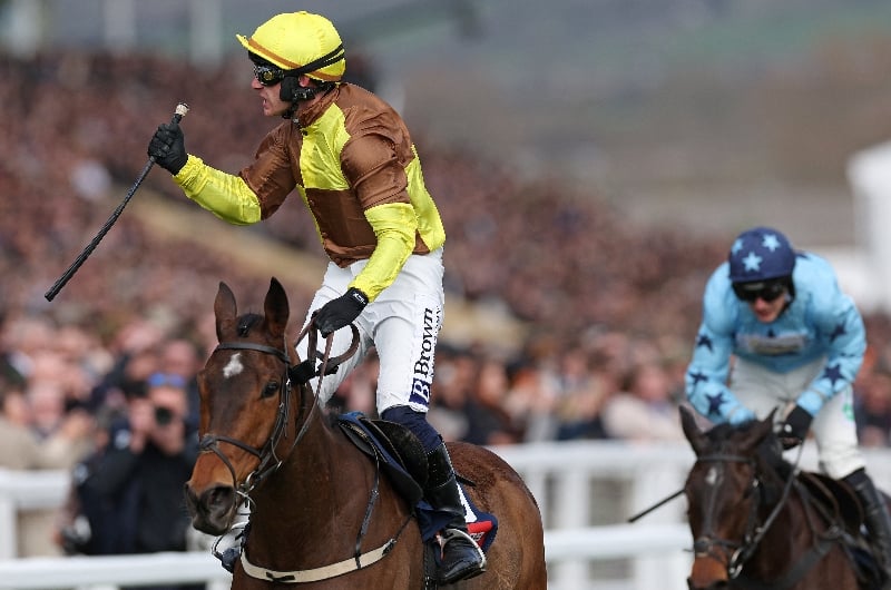 cheltenham