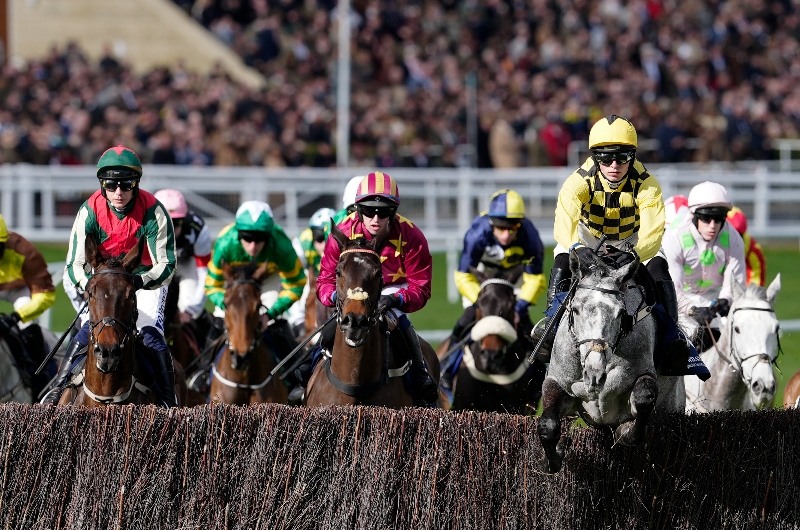 cheltenham