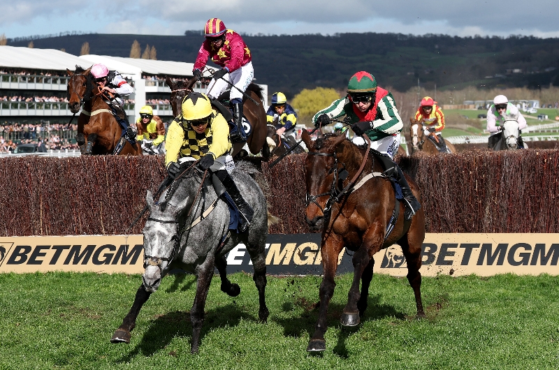 cheltenham
