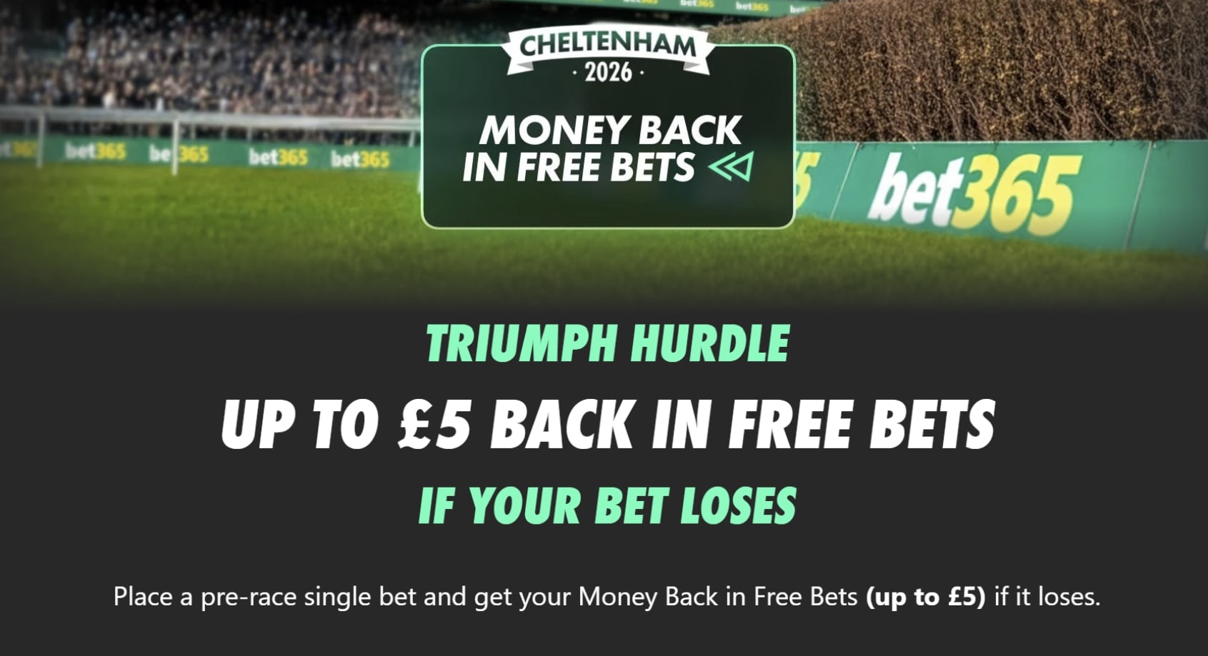 bet365 Triumph Hurdle money back special