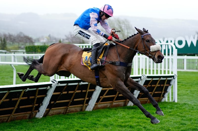 cheltenham cheltenham