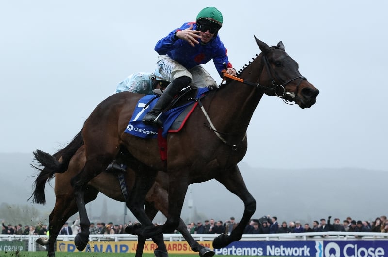 cheltenham cheltenham