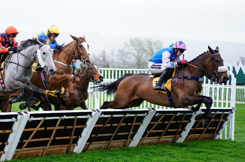 cheltenham cheltenham