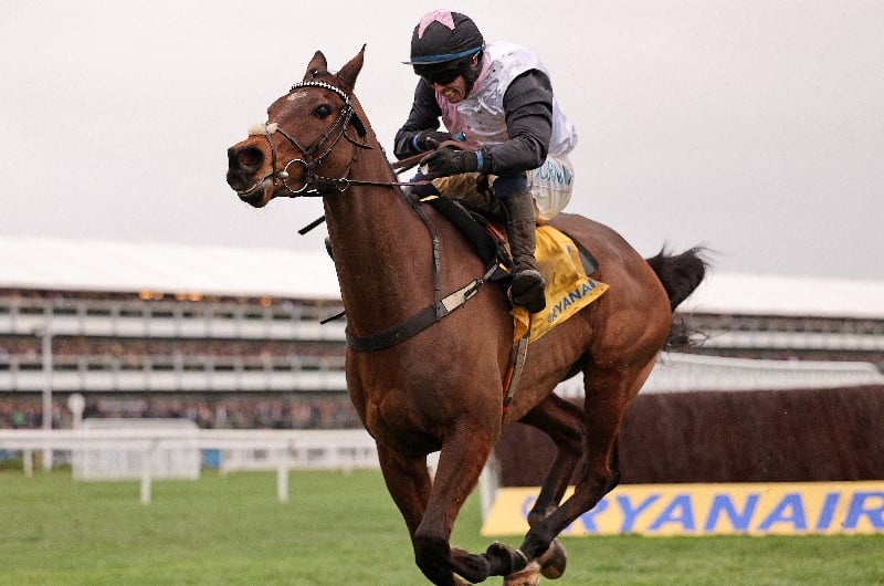 cheltenham cheltenham